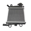 Yamaha NMAX 125/150 Radiator Assembly 2020-2024 | B6H-E240A-01